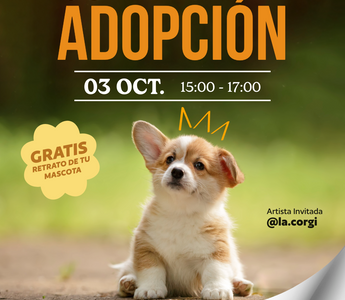 Donde el amor encuentra hogar