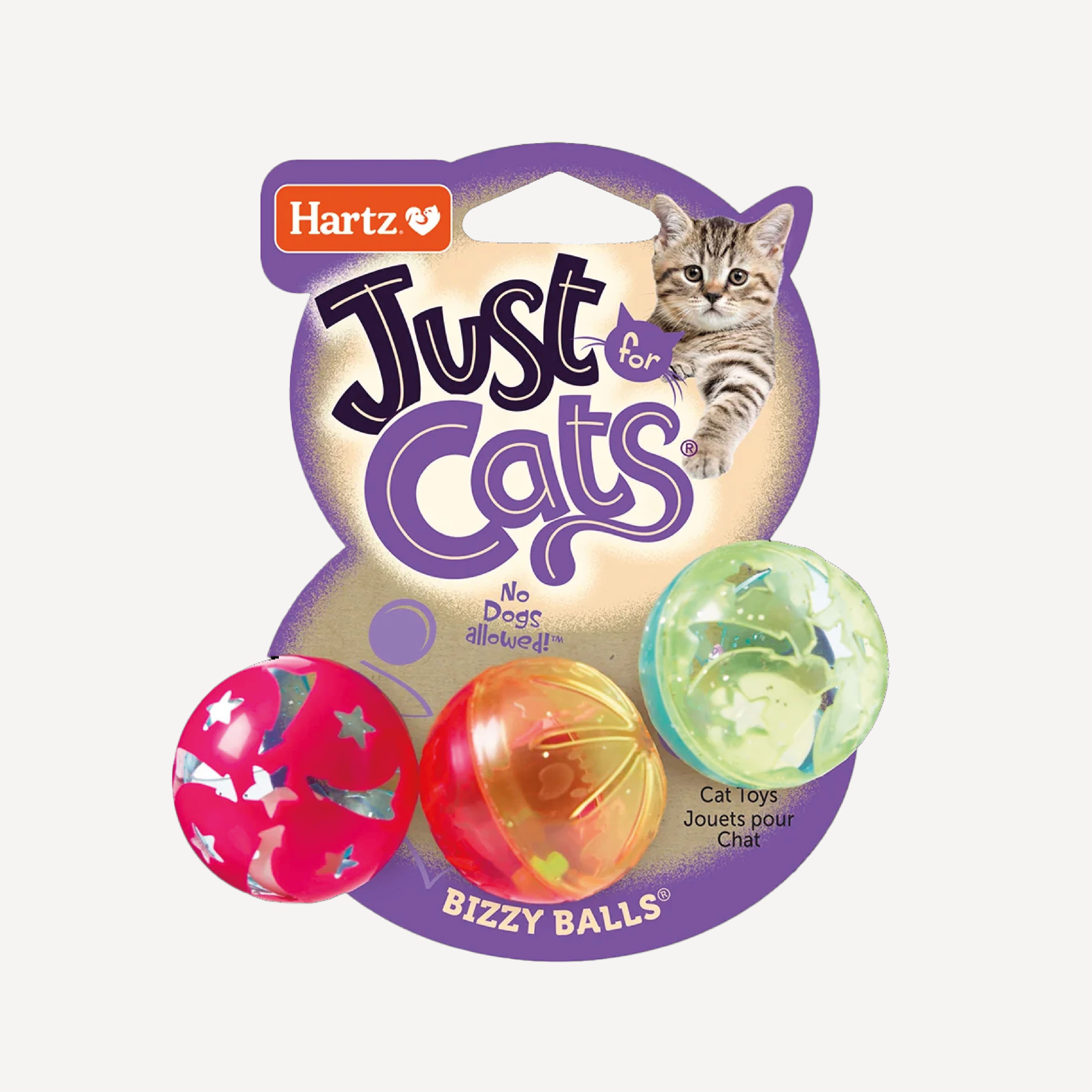 Just For Cats