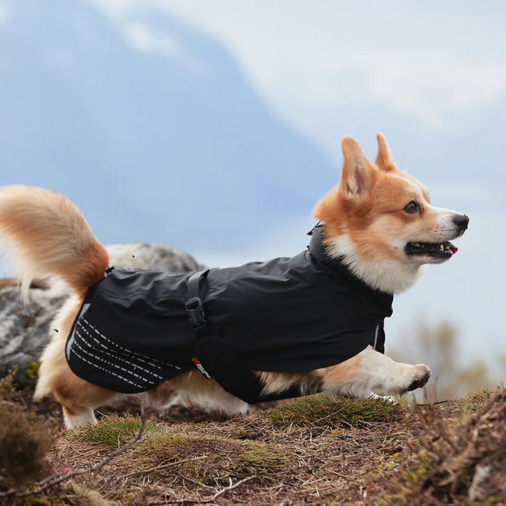 Fjord Raincoat Gris- Verde