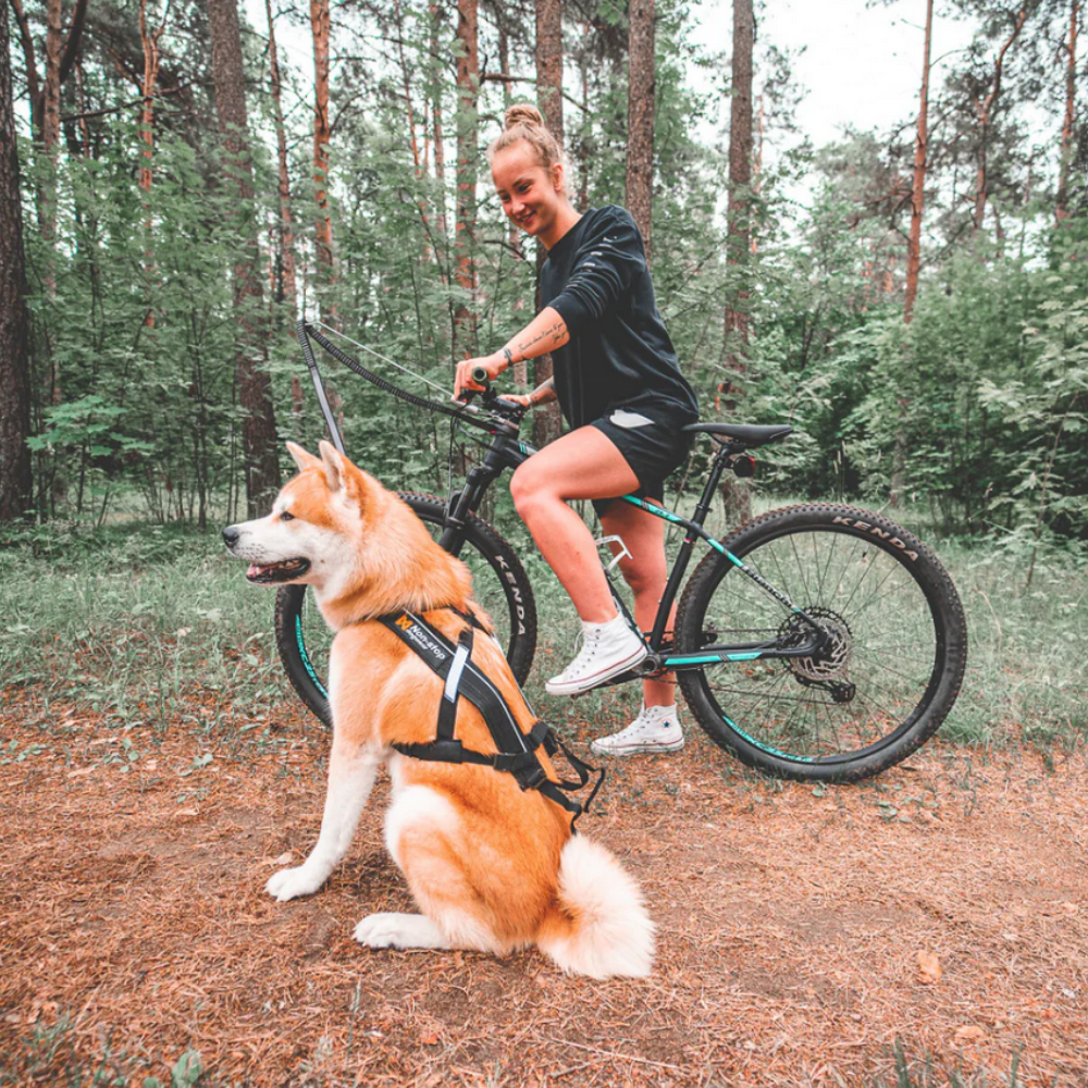 Bike Antenna