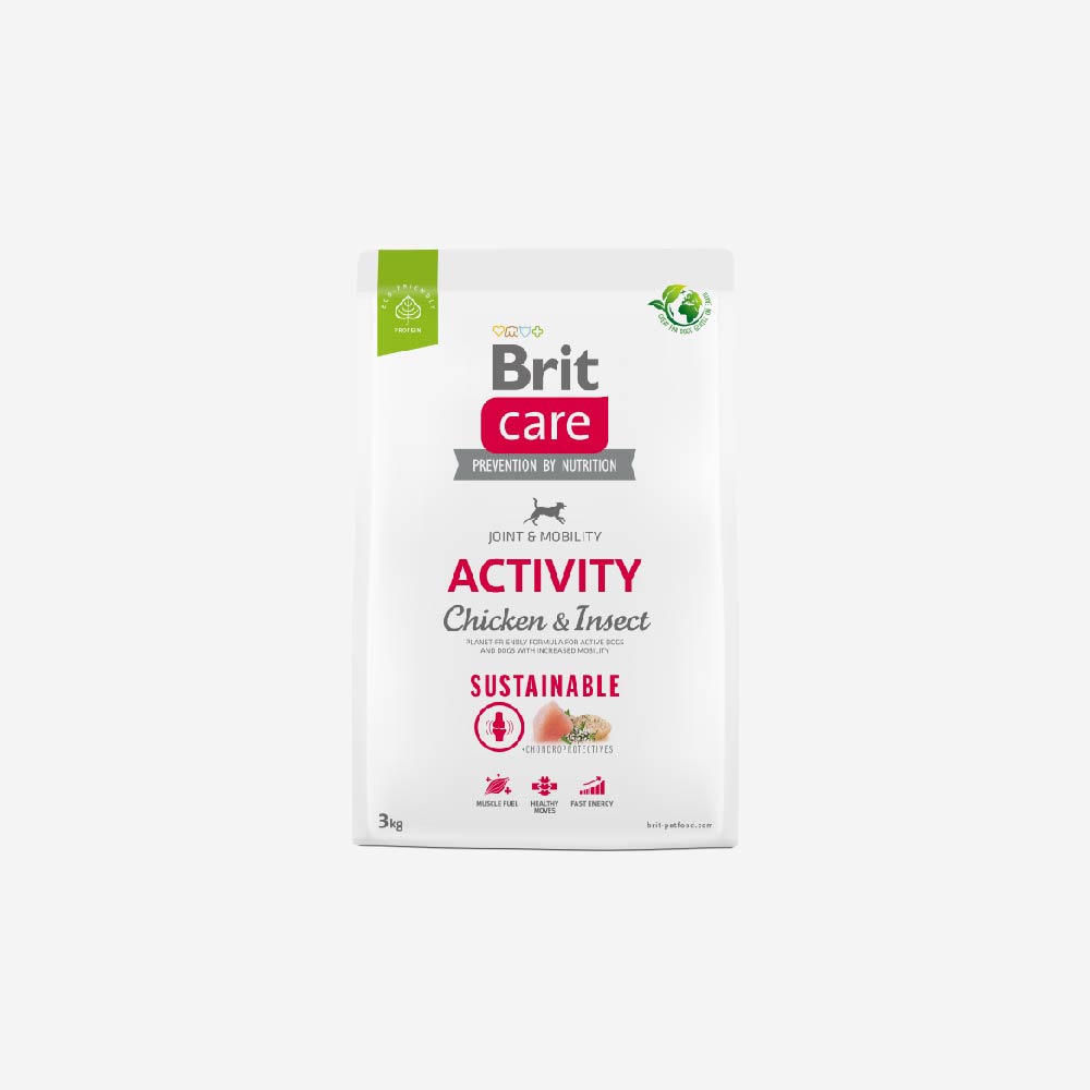 Activity  Chicken & Insect 3 kilos