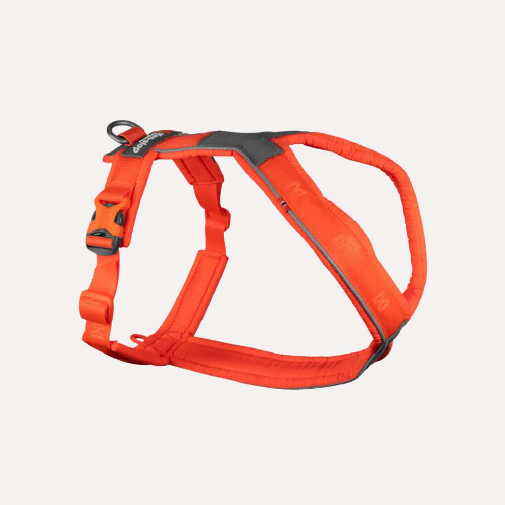 Line Harness 5.0 Naranjo