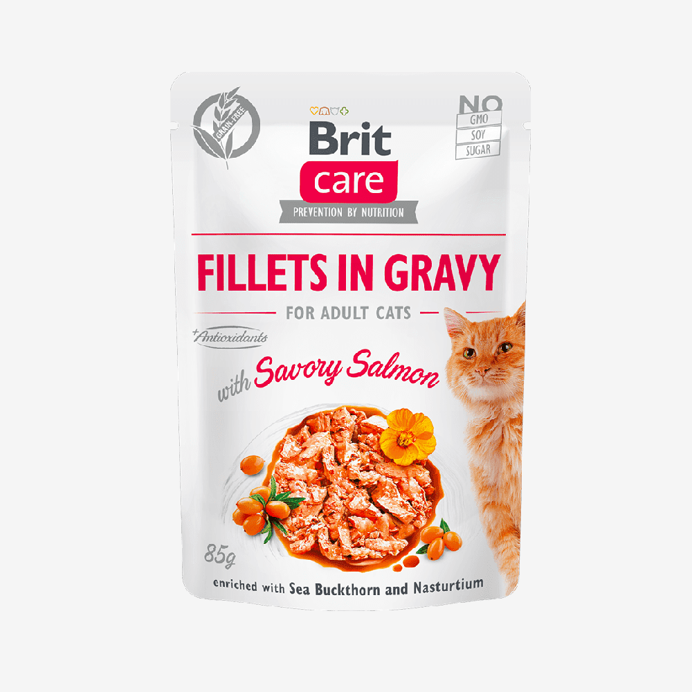 Fillets in Gravy Salmón